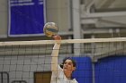 Wheaton Women's Volleyball  Wheaton Women's Volleyball vs Bridgewater State University. : Wheaton, Volleyball, BSU, Bridgewater State College